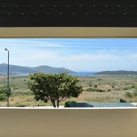 Beautiful Pool Xenia In Anavissos, * アテネ